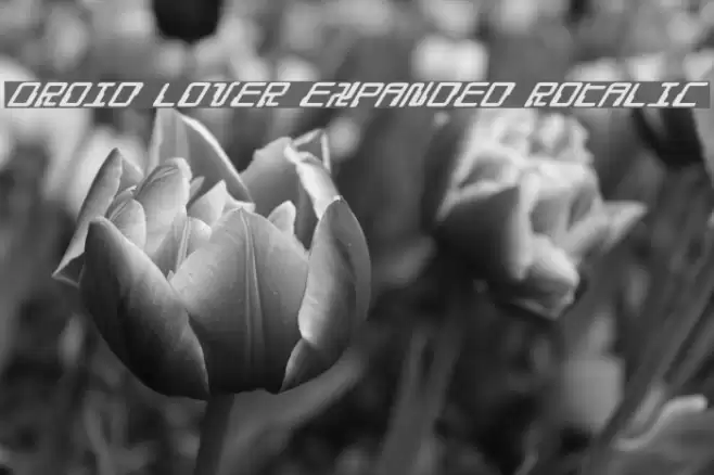 Droid Lover Expanded Rotalic Font examples