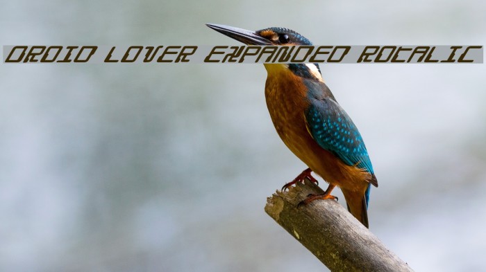 Droid Lover Expanded Rotalic Font examples
