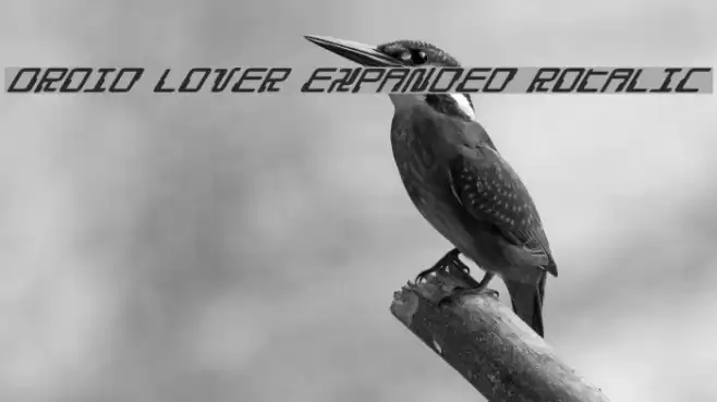 Droid Lover Expanded Rotalic Font examples