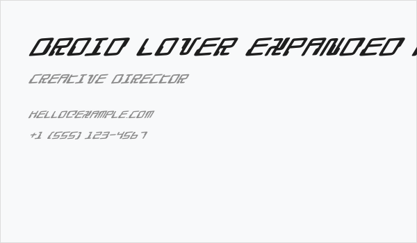 Droid Lover Expanded Rotalic Business Card