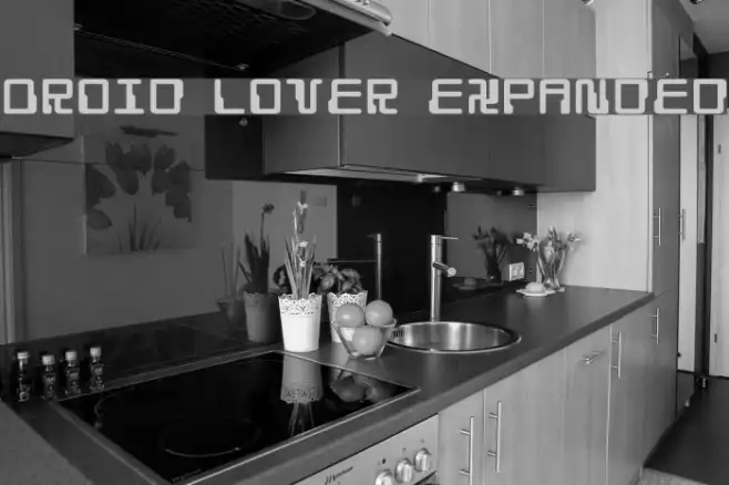 Droid Lover Expanded Example 3