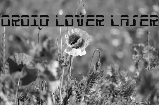 Droid Lover Laser Example 1