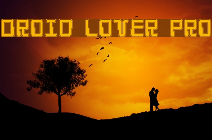 Droid Lover Pro Font examples