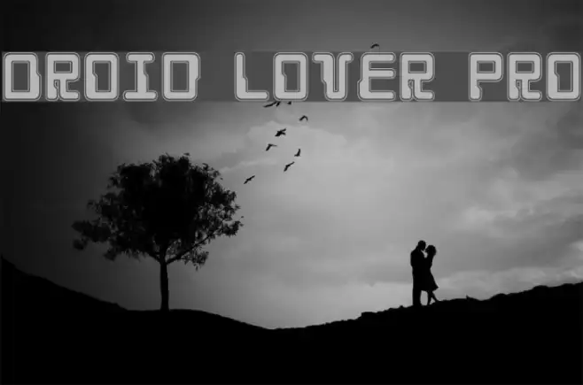 Droid Lover Pro Example 2
