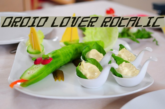 Droid Lover Rotalic Font examples