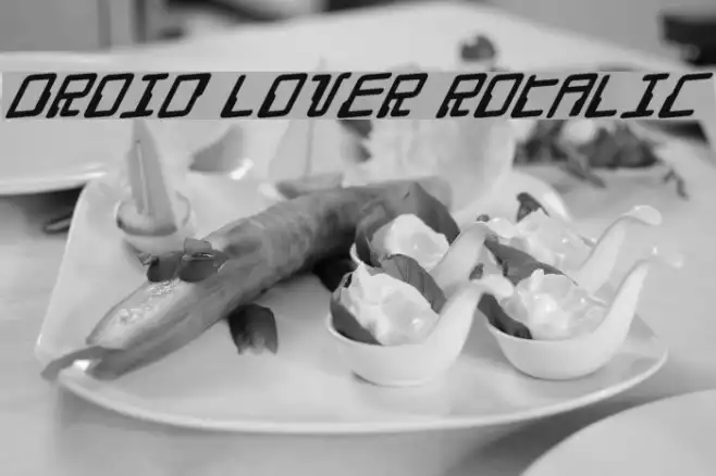 Droid Lover Rotalic Example 1