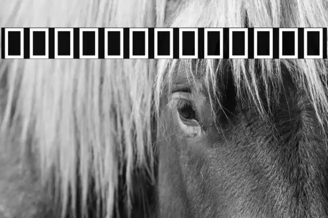 Droid Persian Naskh Font examples