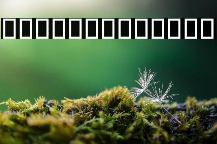 Droid Persian Naskh Example 3