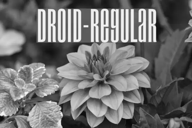 Droid-Regular Font examples