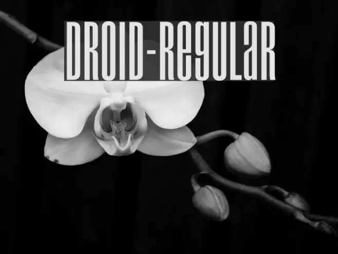 Droid-Regular Font examples