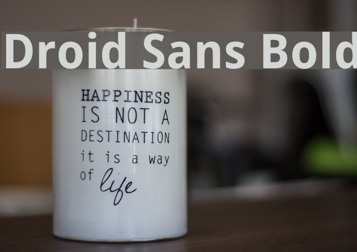 Bold sans. Шрифт Droid Sans. Droid Sans. Droid Sans Pro WGL Bold.