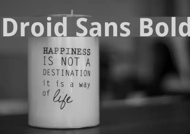 Droid Sans Bold Font examples