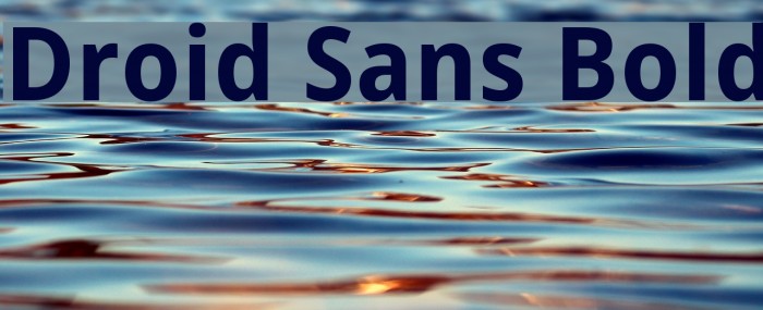 Droid Sans Bold Font examples