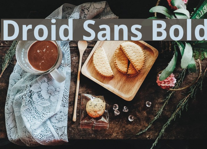 Droid Sans Bold Font examples