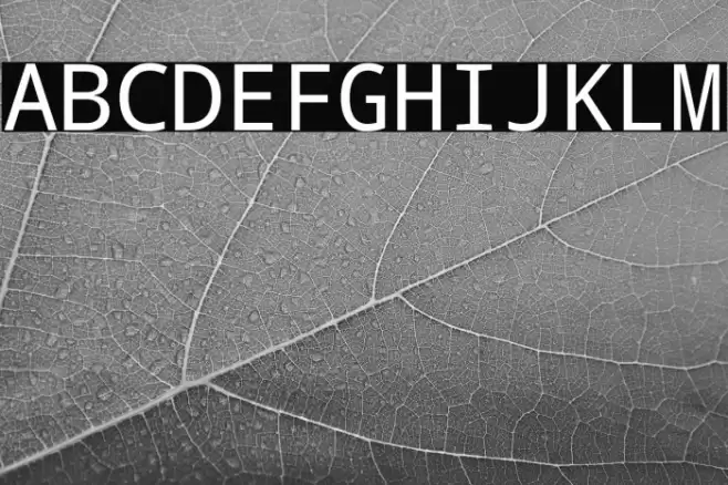 Droid Sans Mono Font examples