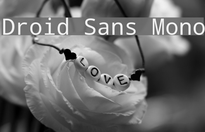 Droid Sans Mono Font examples
