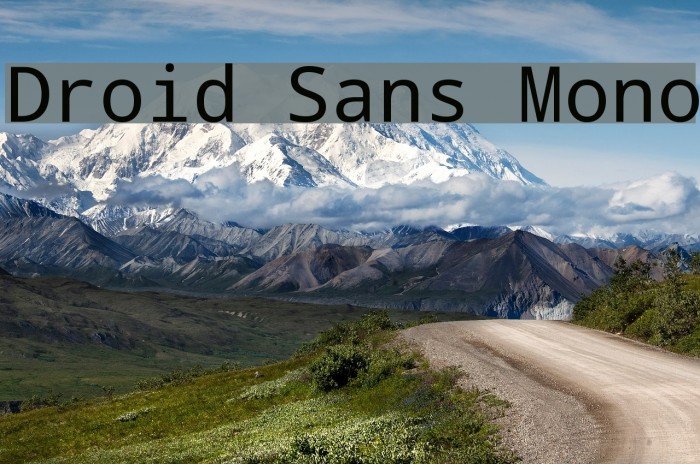 Droid Sans Mono Font examples
