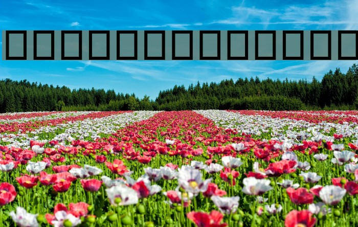 Droid Sans Thai Example 2