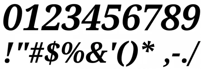 Droid Serif Bold Italic Font OTHER CHARS