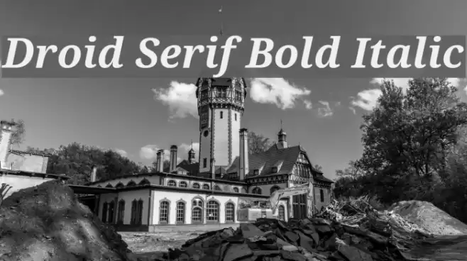 Droid Serif Bold Italic Font examples