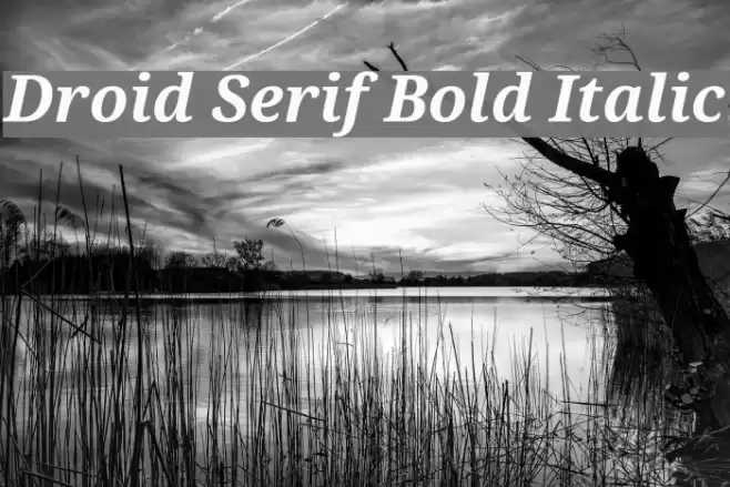 Droid Serif Bold Italic Font examples