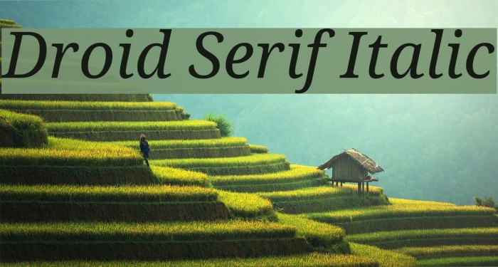 Droid Serif Italic Font examples