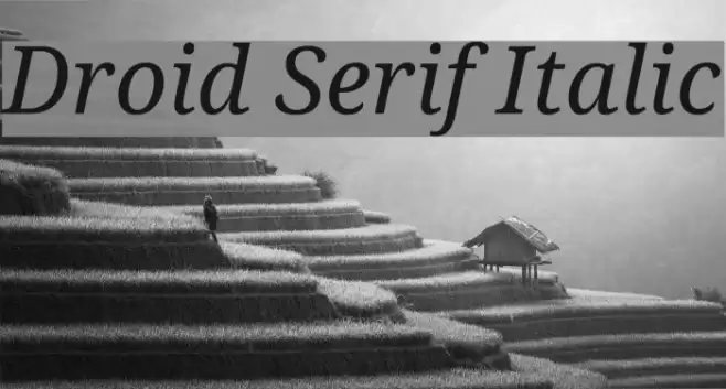 Droid Serif Italic Font examples