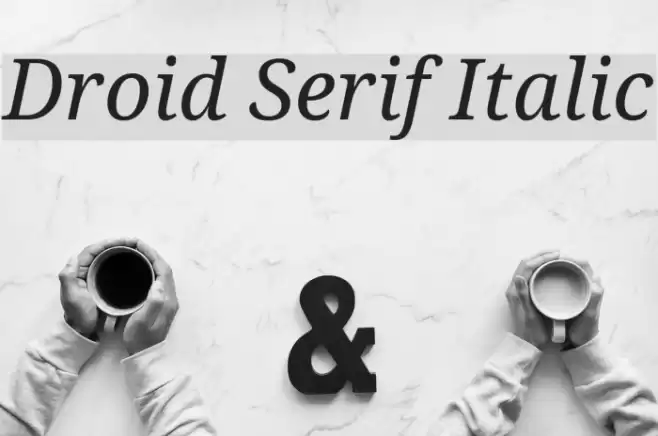 Droid Serif Italic Font examples
