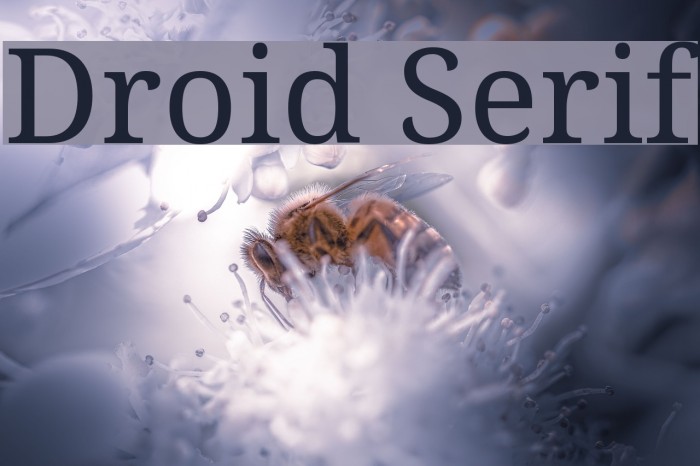 Droid Serif Font examples