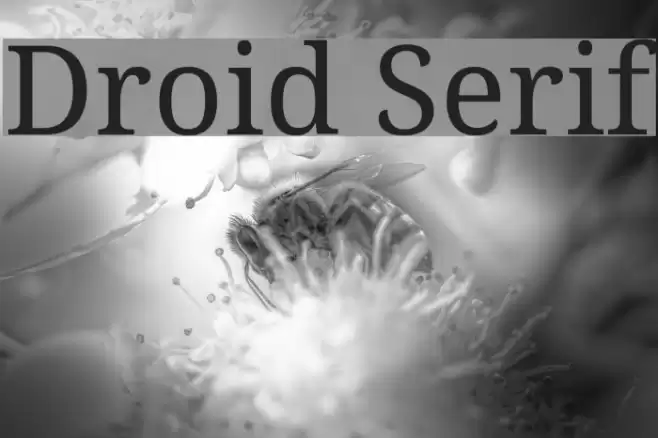 Droid Serif フォント examples