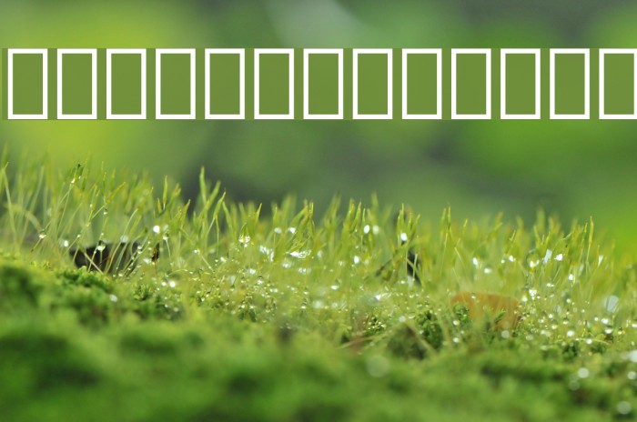 DroidSerifThai Bold Example 2