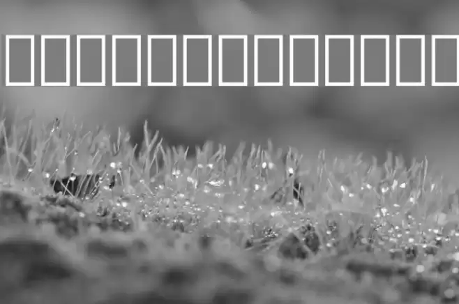 DroidSerifThai Bold Font examples