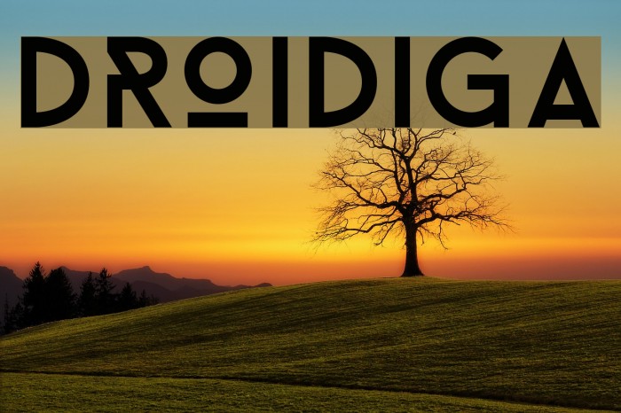 Droidiga Font examples