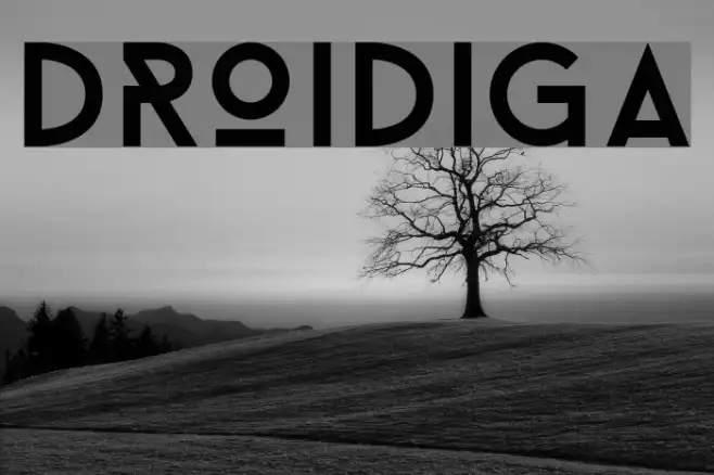 Droidiga Example 2