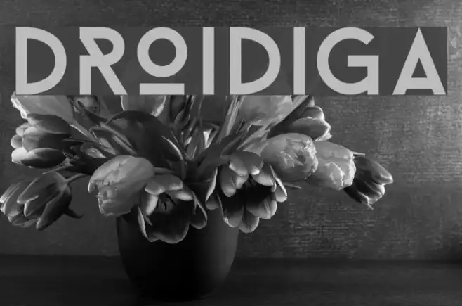 Droidiga Example 3