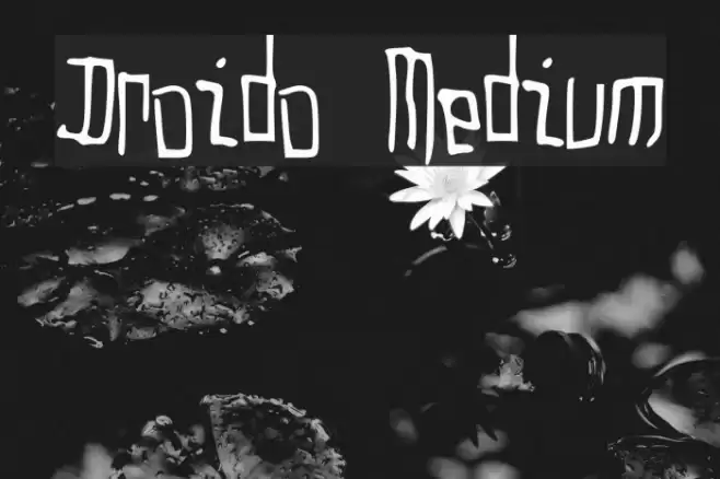 Droido Medium Font examples
