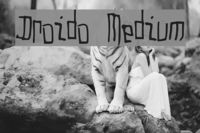 Droido Medium Font examples