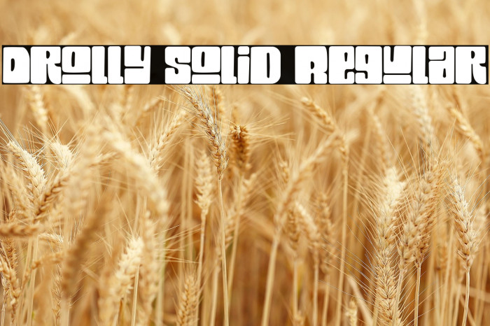 Drolly solid Regular Example 2