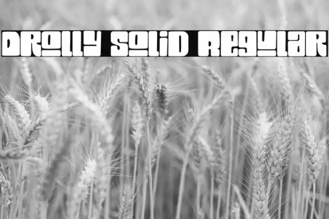 Drolly solid Regular Шрифта examples