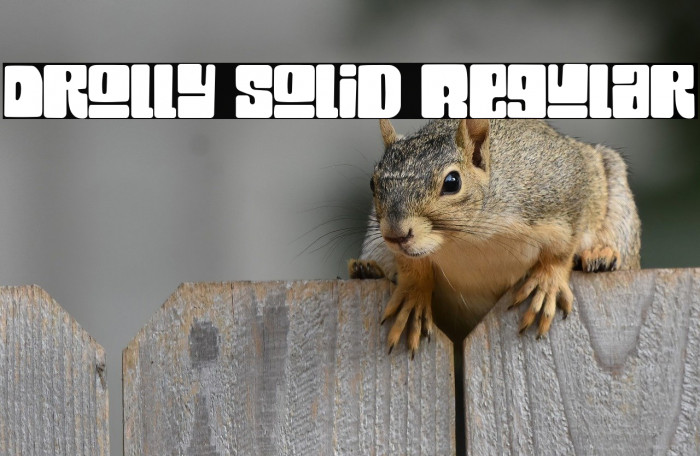 Drolly solid Regular Example 3