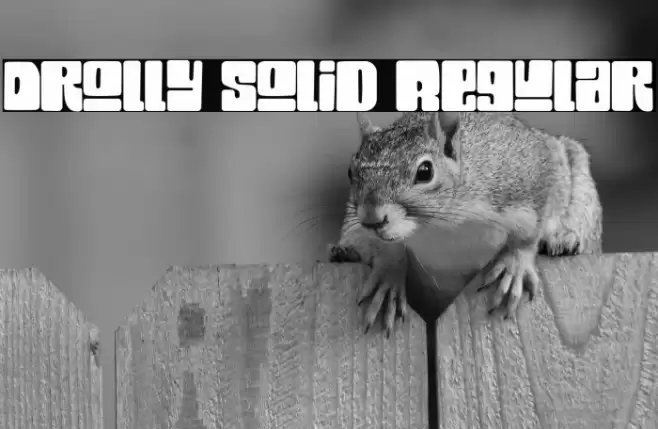 Drolly solid Regular Шрифта examples