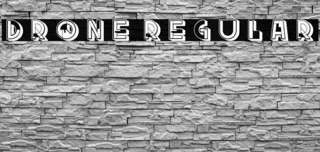 Drone Regular Example 1