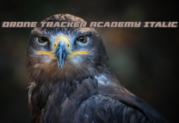 Drone Tracker Academy Italic Font examples