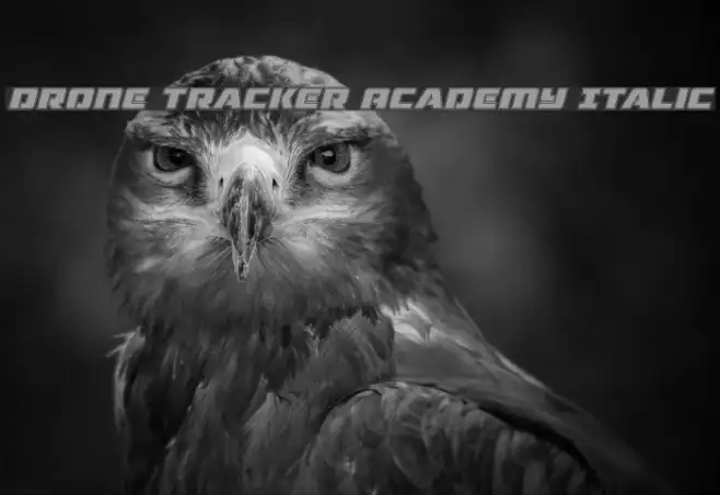 Drone Tracker Academy Italic Example 1