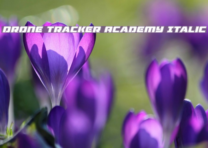 Drone Tracker Academy Italic Font examples