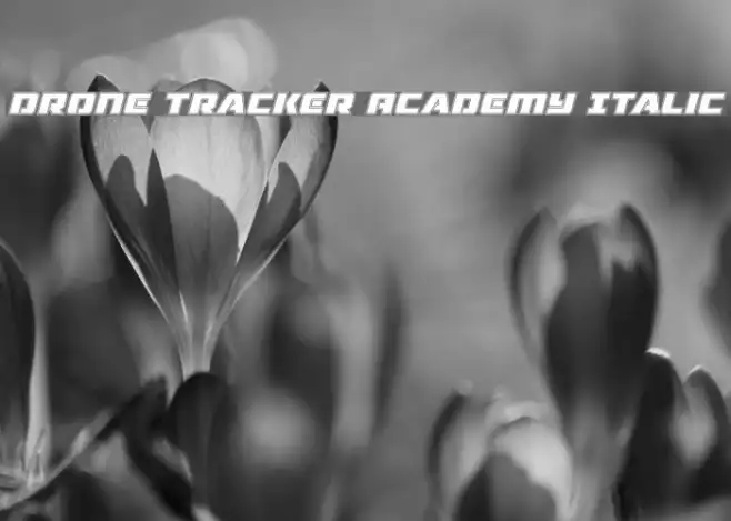 Drone Tracker Academy Italic Example 2