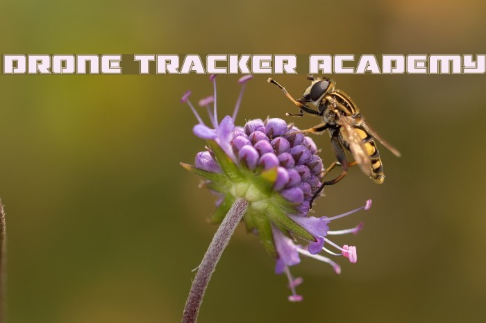 Drone Tracker Academy Font examples