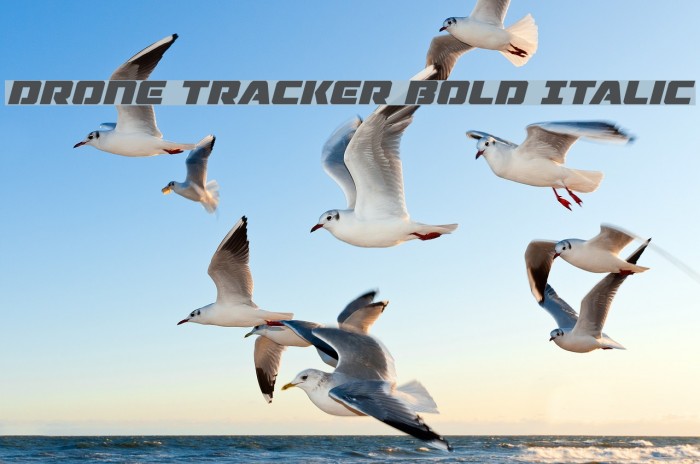 Drone Tracker Bold Italic Font examples