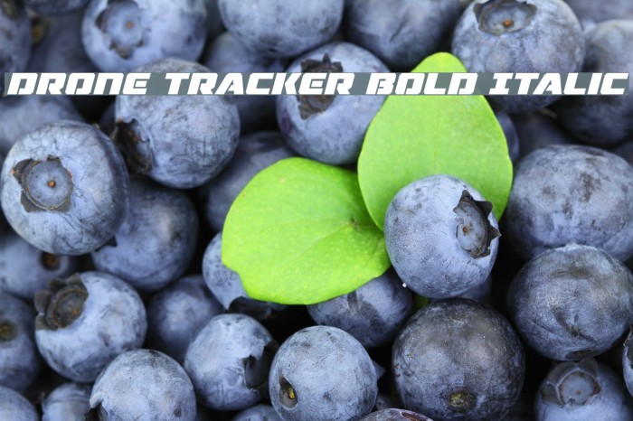 Drone Tracker Bold Italic Font examples