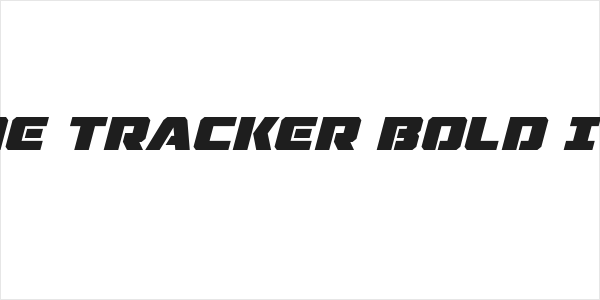 Drone Tracker Bold Italic Logo